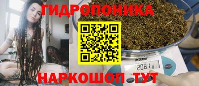сатива Краснознаменск