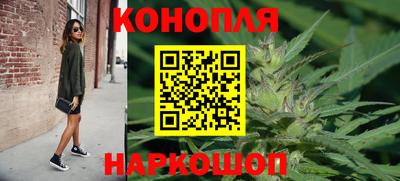 сатива Краснознаменск