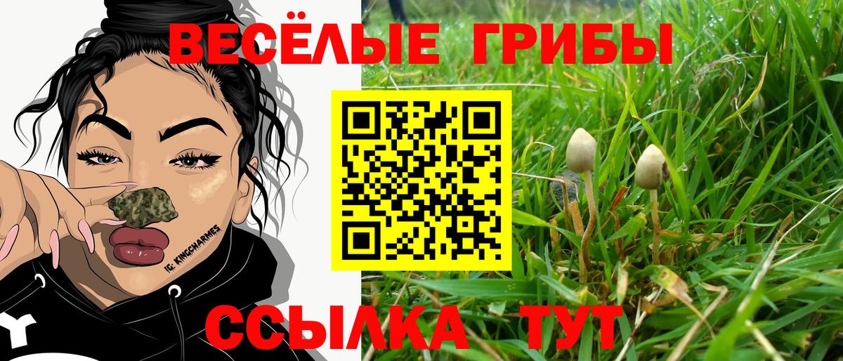 Галлюциногенные грибы прущие грибы  Галлюциногенные грибы ЛСД  Карталы  Вход с VPN 