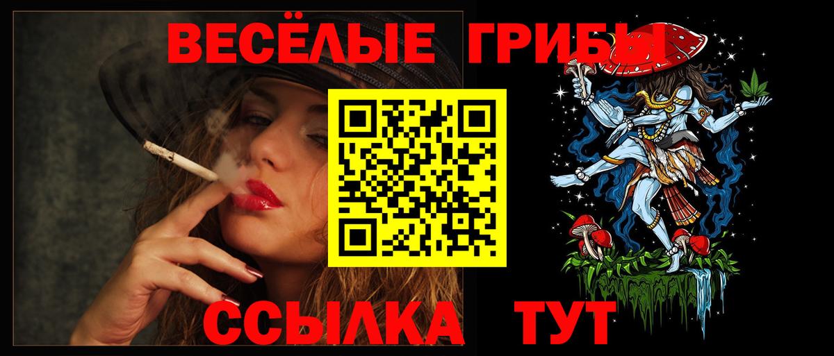 Псилоцибиновые грибы MAGIC MUSHROOMS Карталы